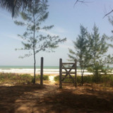 Taís Monteiro Sousa