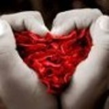 Fernanda de Faria Fernandes