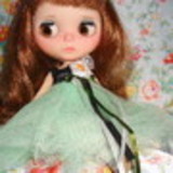 clara de sousa berriel raibolt