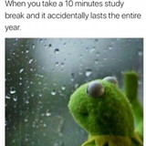 Bianca Hernandes Ferreira