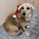 Maria de Fatima de Souza Barbosa