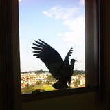 Clarice dos Santos Machado