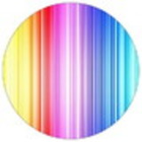 Natalia Bovo da Motta