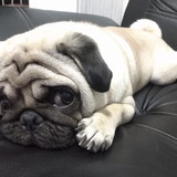 MICHELE MONTEIRO MACHADO