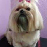 Aglemir de Souza correia