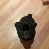 Kelly Rosalenn Bezerra Ferreira