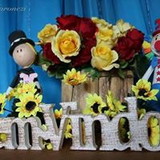 Carla Aparecida Vicente Cardoso 