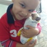 Sueli Candido da Silva