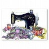 Claudia Kelly Capozzi Silva