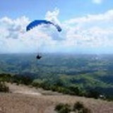 ANA CRISTINA BOLOGNESI