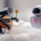 Larissa Silva Toledo Rodrigues