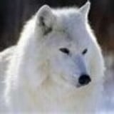 maria aparecida cunha