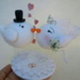 Karina caldas santos