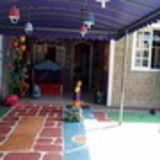 Cynthia Louredo Alves