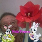 Eliana dos Santos do Amaral