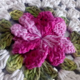 Flavia Jesus de Oliveira