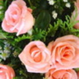 Wanderleia Rodrigues