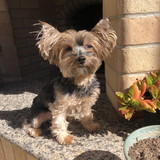 TATIANA MATUCITA FABIANI