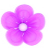 marcela santos braga