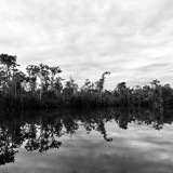 Fábio M. Kido Bacci