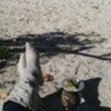 CRISTINE SCHULTZ SCHULZ