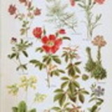 Ir para o perfil do usuário