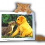 Maria de Lourdes M. Pato - Amigos de Pelo