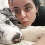 Caroline Bonilha moreira