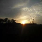 silmara Cristina gallo Pereira