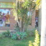 Rosane Longaray Dias