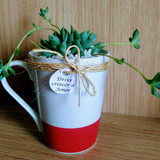 Deixe crescer o Amor