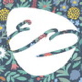 Estimados Badulaques