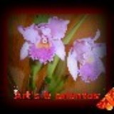 GRAZIELE SANTANA CORREIA MENDES