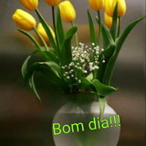 Simone Ap. Batistiolle