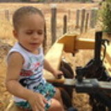 Rejane Flores Silveira