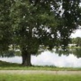 Luberta Lima Roberto