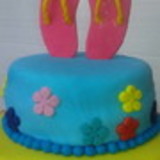 Aneide Evangelista Silva