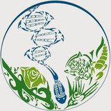 Angélica Gomes da Silva