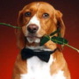 Andre Luis Boyago dos Santos