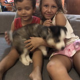 carolina luvisotto marinho