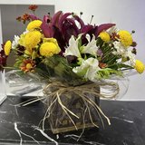 Cláudia da Silva cunha