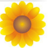 Fabiana Cardoso Braga