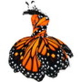 Lady Butterfly Store