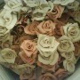 Maíra Andrade Martinez