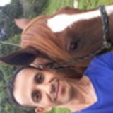 Reginaldo dos santos