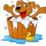 Patrícia Rodrigues da Silva