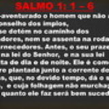 suzamar de oliveira pereira leite