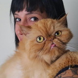 Silvia Helena Pereira