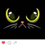 Zelia Ferreira Campos Carlos