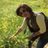 Shirlei P. N. da Silva